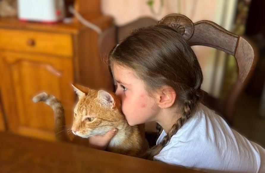 ETHOLOGIE DU CHAT