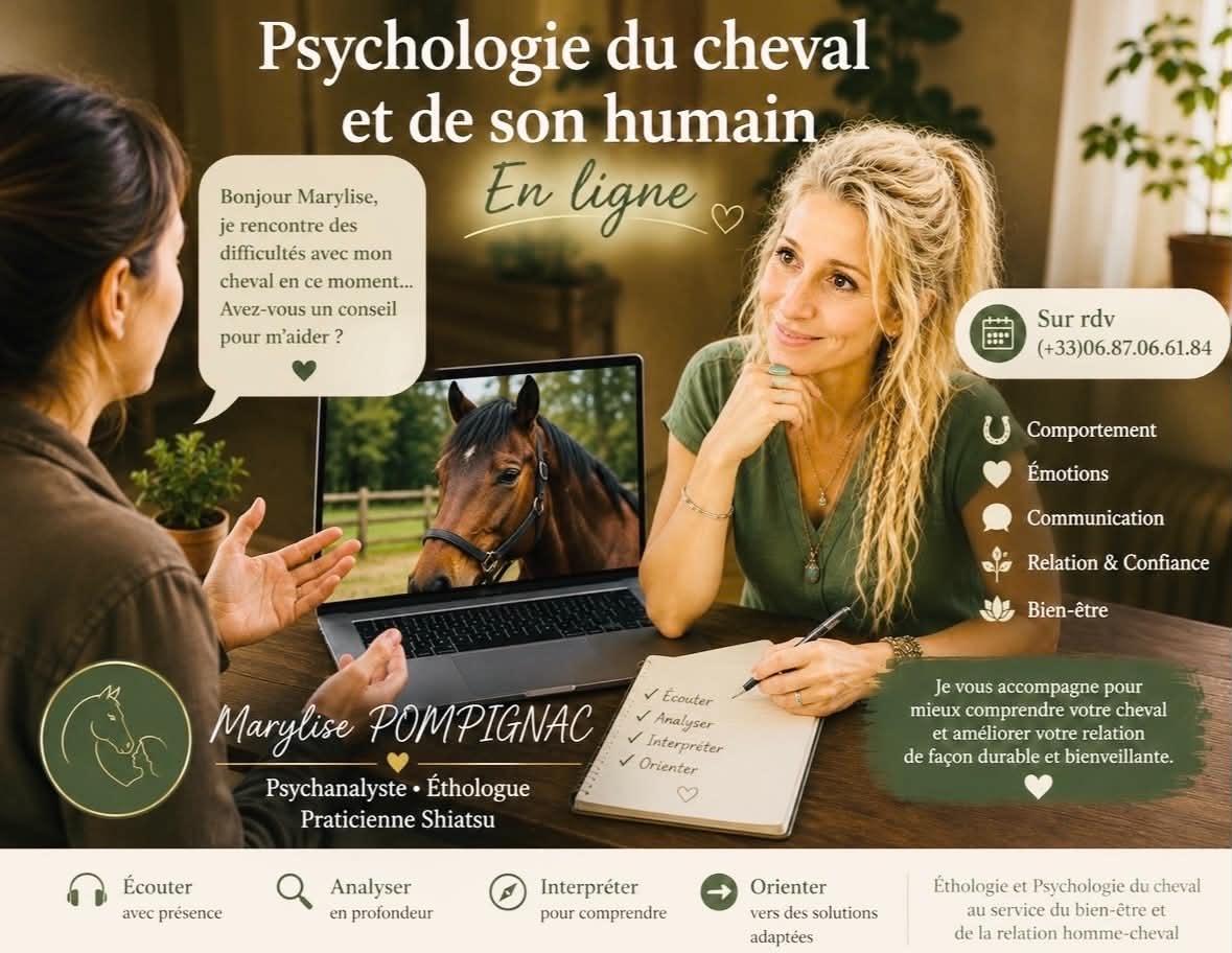 psychologie humain et cheval